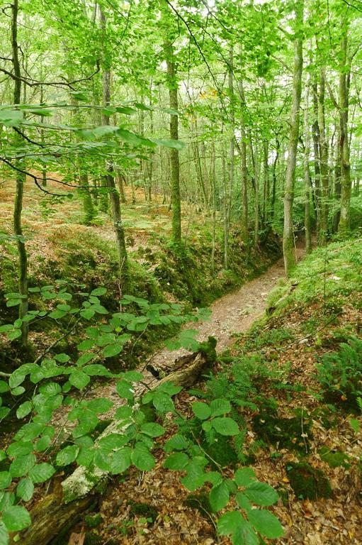 La Cage Aux Oiseaux Bed and Breakfast La Lande-de-Goult Εξωτερικό φωτογραφία